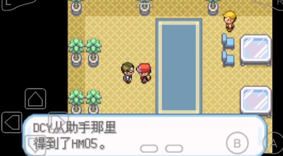 口袋妖怪火红得到闪光术后干什么