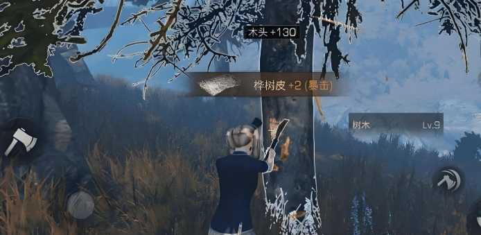 明日之后前期职业哪个好