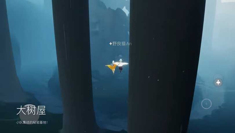 光遇怎么在雨林拿爱心
